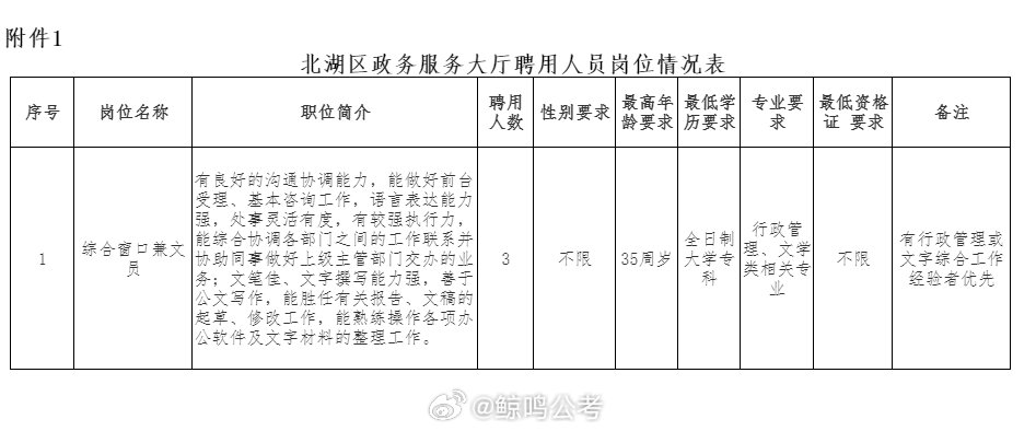 2024年12月13日 第13页